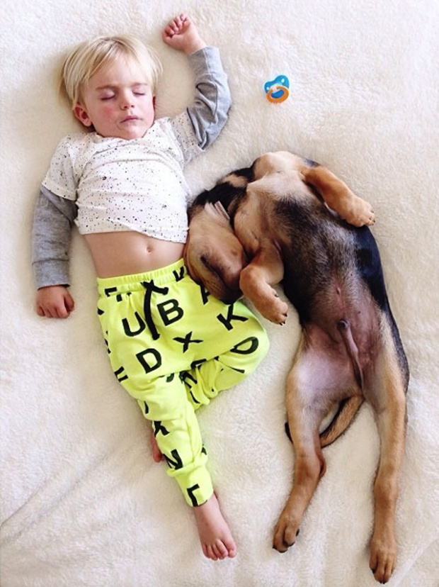 Dieťa a pes