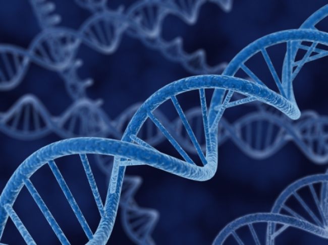 Vydražia list s prvým popisom DNA
