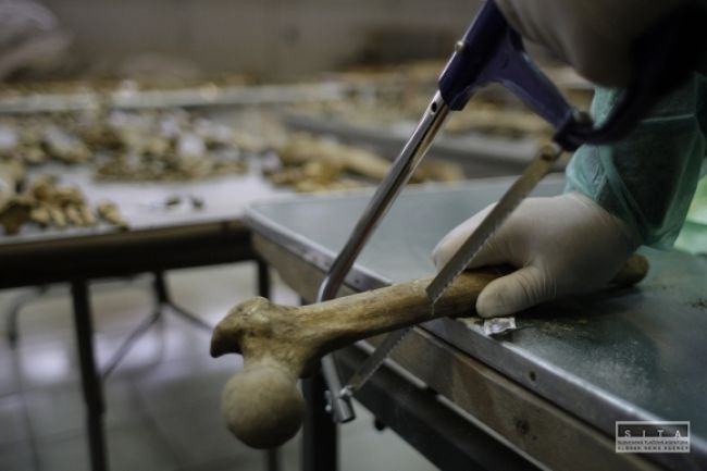 Našli sa ľudské kosti, polícia nevylučuje vraždu