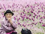 Na Slovensku sa dôchodcom žije lepšie než v USA