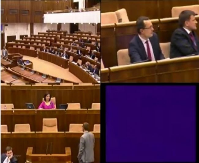 Na internete sprístupnili živé zábery z poslaneckých lavíc