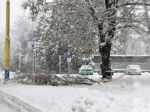 Na cestu v Banskej Bystrici spadol strom, vodič je zranený