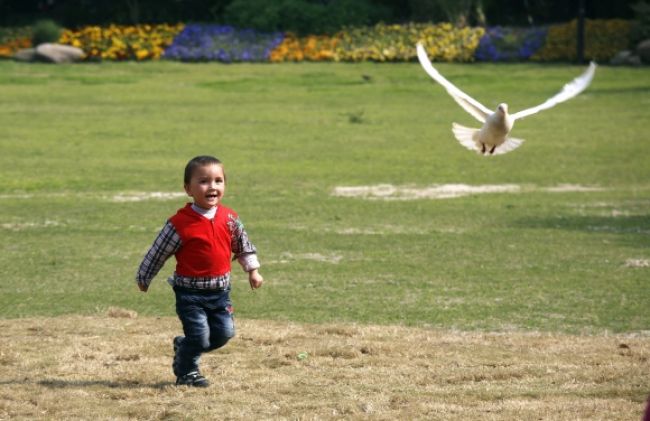 Počet obetí novej vtáčej chrípky v Číne stúpol na šestnásť