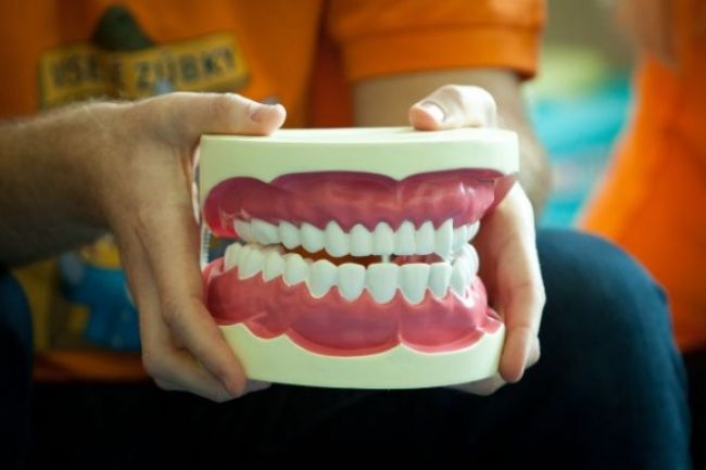 Študenti zubného lekárstva naučia Slovákov starať sa o chrup