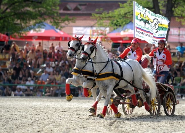 Slovenskú mekku chovu koní si pozreli tisíce ľudí
