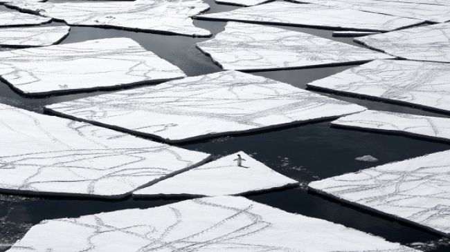 Ľadu na Arktíde ubúda, meteorológovia sú znepokojení