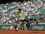 David Ferrer zdolal Tsongu, na Roland Garros si zahrá finále