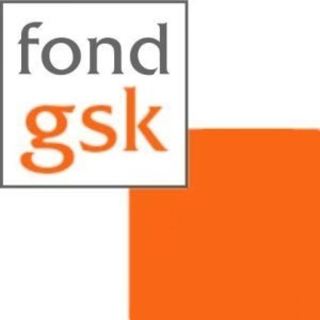 Výsledky Jarnej výzvy Fondu GSK 2013