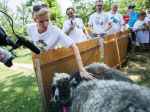 Adela Banášová krstila v zoo, deti na internete strážia ovce