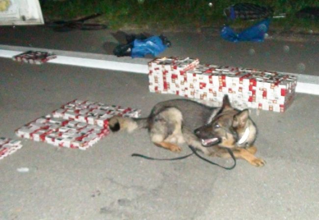 V dutinách auta našli ukrajinské cigarety, pomáhal pes