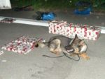 V dutinách auta našli ukrajinské cigarety, pomáhal pes