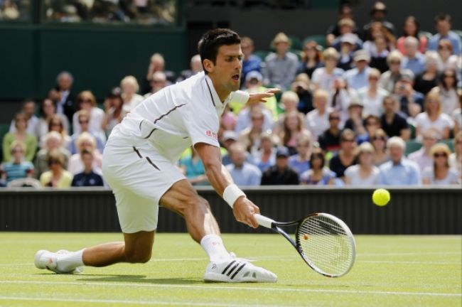 Djokovič v prvom kole Wimbledonu nezaváhal, ďalej aj Ferrer