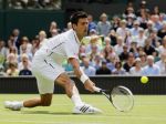 Djokovič v prvom kole Wimbledonu nezaváhal, ďalej aj Ferrer