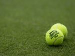 Wimbledon 2013 priniesol rekord v počte odstúpení za deň