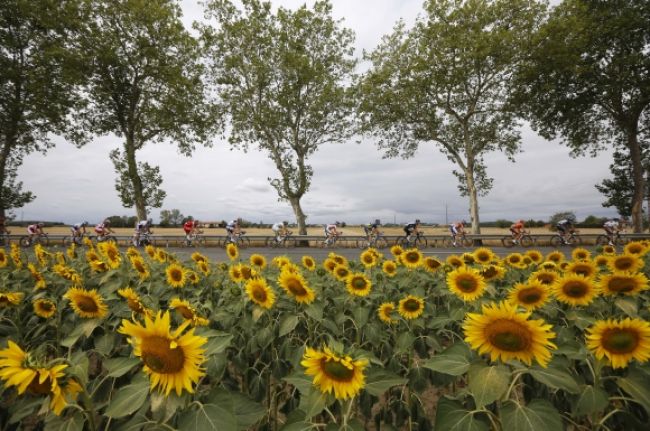 Tour de France - Zaujímavosti a štatistiky