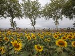 Tour de France - Zaujímavosti a štatistiky