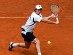 Filip Polášek postúpil na Roland Garros do štvrťfinále mixu