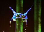 Akrobatka z Cirque du Soleil spadla z výšky takmer 28 metrov