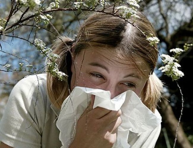 Do dvoch rokov bude mať alergiu každý druhý Európan