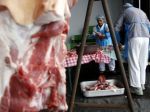Poľsko zatrhlo kóšer zabíjanie zvierat, Izrael protestuje