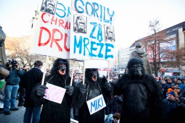 Stále viac Slovákov si je istých, že Gorilu nevyšetria