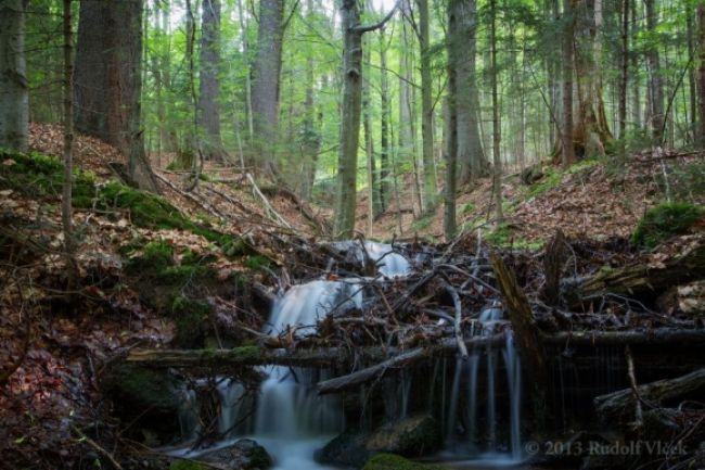 Národný park Šumava v Česku zažíva mráz aj v lete