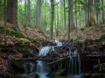 Národný park Šumava v Česku zažíva mráz aj v lete