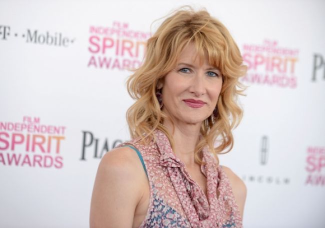 V adaptácii knihy Na vine sú hviezdy si zahrá Laura Dern