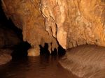 Zoológovia objavili tri nové druhy jaskynných živočíchov