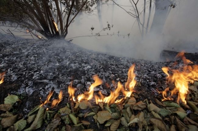 Vojenský les na Záhorí bol opäť v plameňoch
