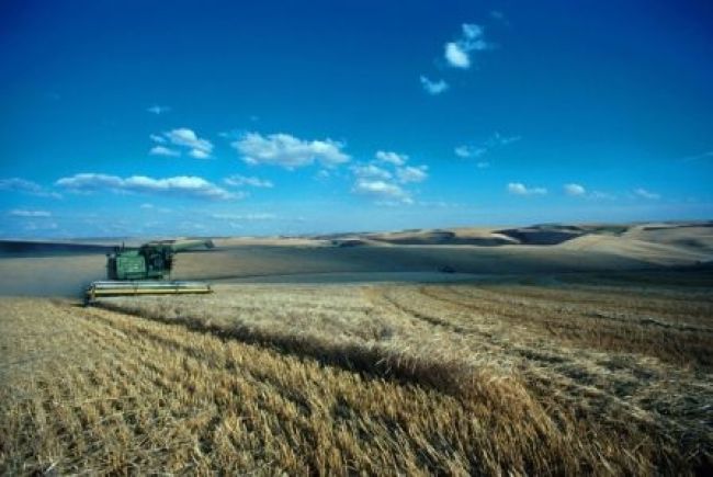 Európski farmári bojujú za biopalivá