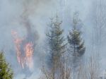 Tohtoročné požiare narobili v TANAP-e desaťtisícové škody