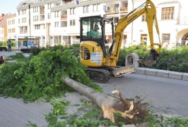 Trnava spílila desiatky stromov, zaplatí mastnú pokutu