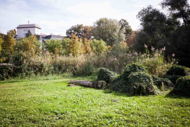 Staré Mesto chce zachrániť Prüger-Wallnerovu záhradu