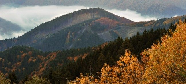 Štvrtok bude slnečný, miestami ojedinele hmla