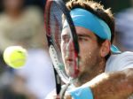 Del Potro zdolal vo finále ATP v Tokiu Raonica