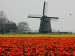 Najobľúbenejším daňovým rajom Slovákov je Holandsko
