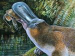 Objavili fosíliu obrovského vtákopyska, najväčšieho na svete