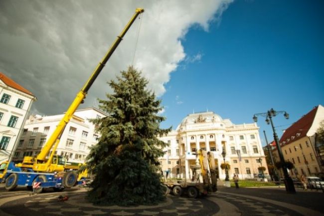 V centre Bratislavy vyrástol ďalší vianočný stromček