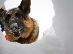 Lavínové psy našli telo horolezca, padol zo štítu