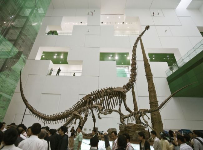 Video: Vydražili kostru 17-metrového dinosaura