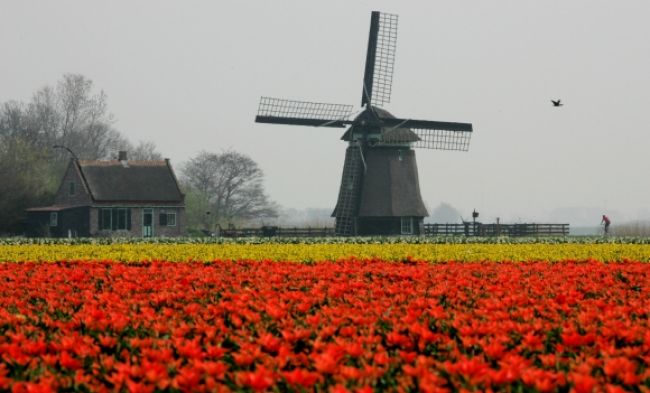 Holandsko prišlo o najvyšší ekonomický rating od S&P