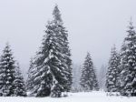 V Západných Tatrách je meter snehu, hrozia lavíny