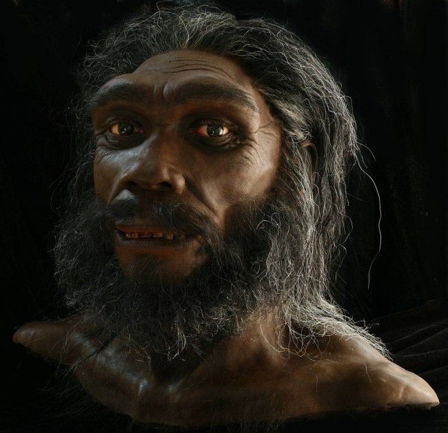 Získali DNA z predka moderných ľudí - Homo heidelbergensis