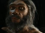 Získali DNA z predka moderných ľudí - Homo heidelbergensis