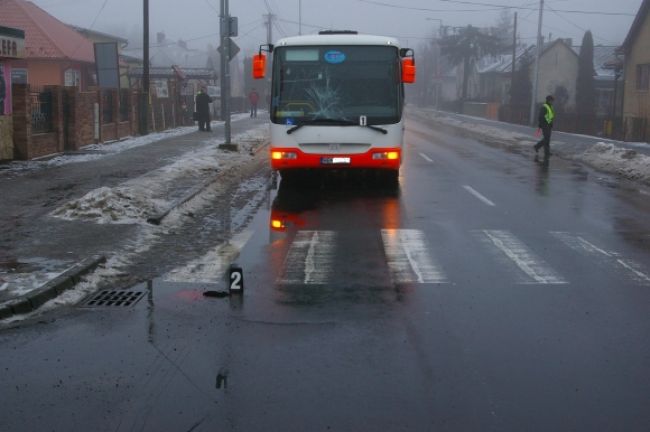 Podmienka dva roky pre vodiča, ktorý zabil chodkyňu