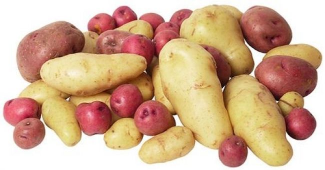EÚ zakázala geneticky modifikované zemiaky Amflora