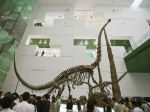 Kostru 17-metrového dinosaura kúpilo múzeum v Kodani