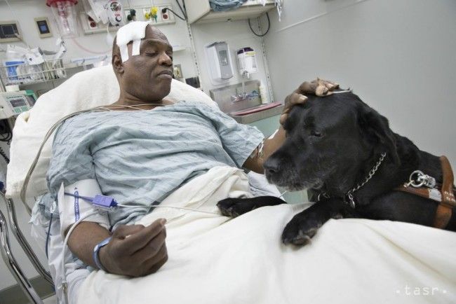 Pes zachránil svojho slepého pána, ktorý spadol na koľajnice metra