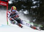 Rakúšan Hirscher ovládol obrovský slalom na SP v Alta Badii